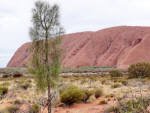 Uluru (Ayers Rock), Kata Tjuta N.Park